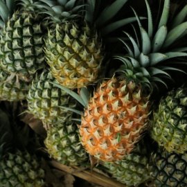 Pineapple-Wax-Coating